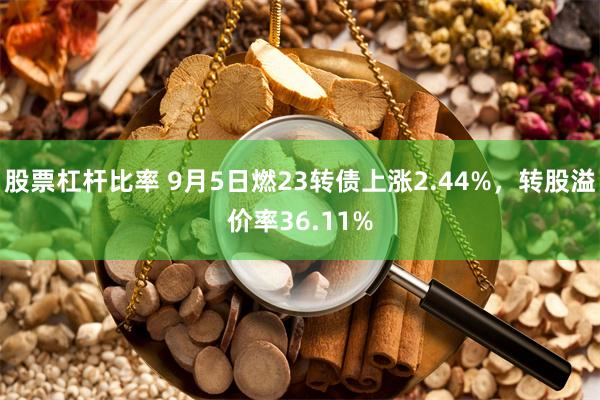 股票杠杆比率 9月5日燃23转债上涨2.44%,转股溢价率36.11%
