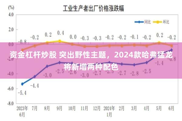 资金杠杆炒股 突出野性主题，2024款哈弗猛龙将新增两种配色