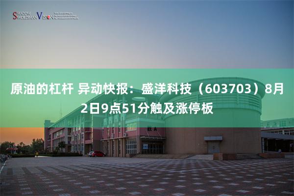 原油的杠杆 异动快报:盛洋科技(603703)8月2日9点51分触及涨停板