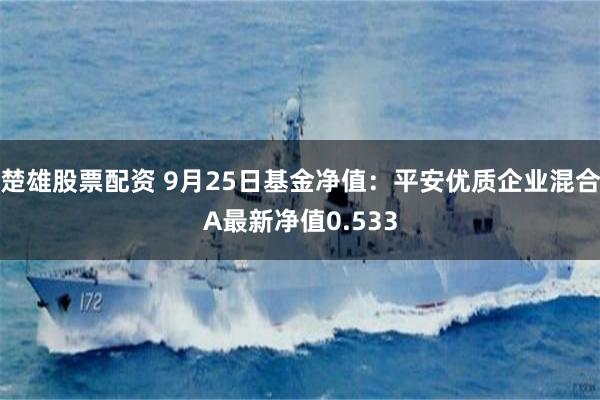 楚雄股票配资 9月25日基金净值:平安优质企业混合A最新净值0.533