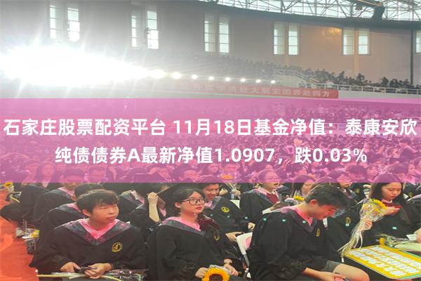 石家庄股票配资平台 11月18日基金净值:泰康安欣纯债债券A最新净值1.0907,跌0.03%