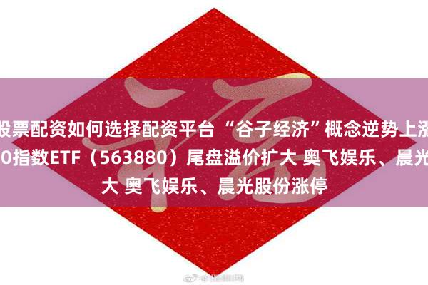 股票配资如何选择配资平台 “谷子经济”概念逆势上涨 中证A500指数ETF(563880)尾盘溢价扩大 奥飞娱乐、晨光股份涨停