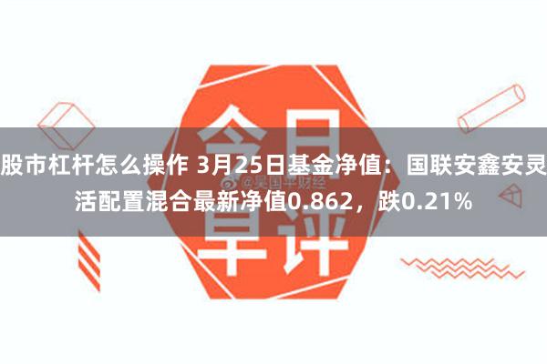 股市杠杆怎么操作 3月25日基金净值:国联安鑫安灵活配置混合最新净值0.862,跌0.21%