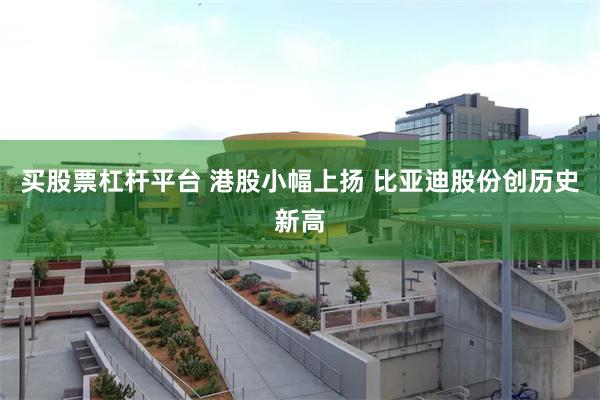 买股票杠杆平台 港股小幅上扬 比亚迪股份创历史新高