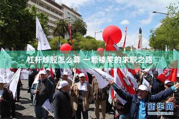 杠杆炒股怎么算 一颗榛果的求职之路