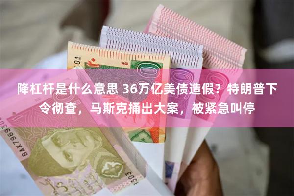降杠杆是什么意思 36万亿美债造假？特朗普下令彻查，马斯克捅出大案，被紧急叫停