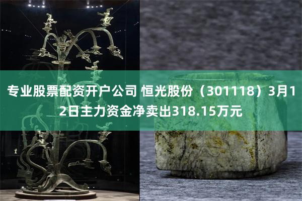 专业股票配资开户公司 恒光股份（301118）3月12日主力资金净卖出318.15万元