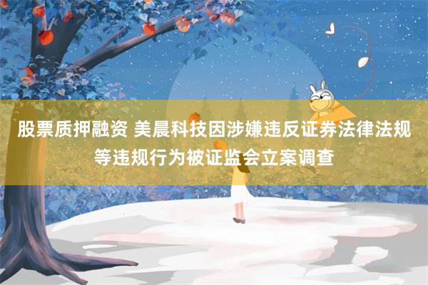 股票质押融资 美晨科技因涉嫌违反证券法律法规等违规行为被证监会立案调查