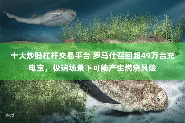 十大炒股杠杆交易平台 罗马仕召回超49万台充电宝，极端场景下可能产生燃烧风险