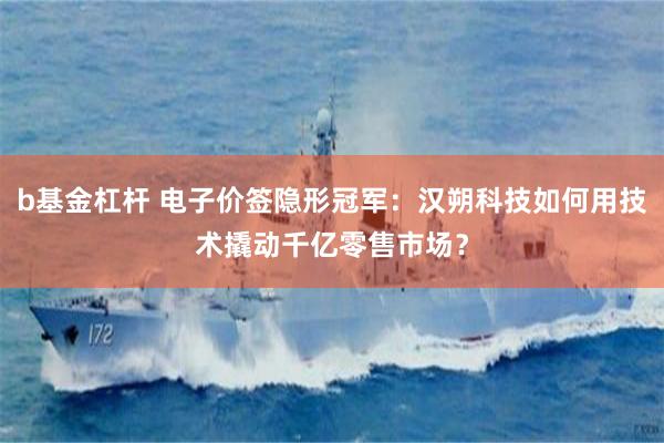 b基金杠杆 电子价签隐形冠军：汉朔科技如何用技术撬动千亿零售市场？