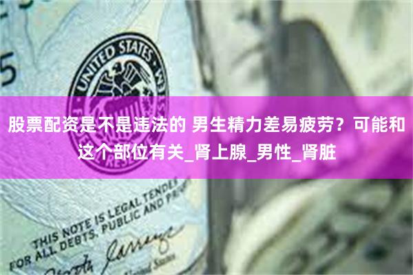 股票配资是不是违法的 男生精力差易疲劳?可能和这个部位有关_肾上腺_男性_肾脏